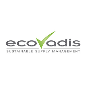 ecovadis验厂认证是什么审核什么内容？